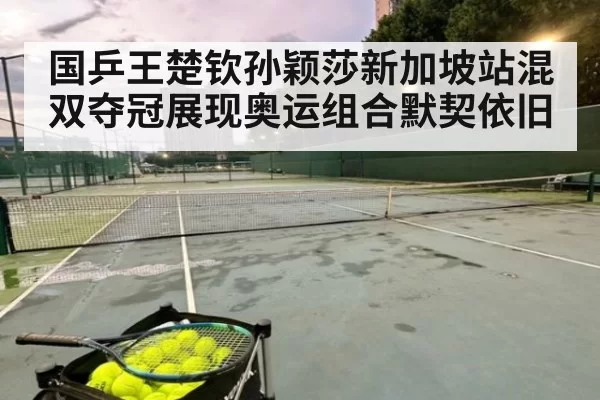 国乒王楚钦孙颖莎新加坡站混双夺冠展现奥运组合默契依旧